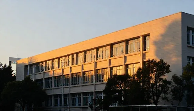 技术开发在应用场景中的决策因素与适用限制